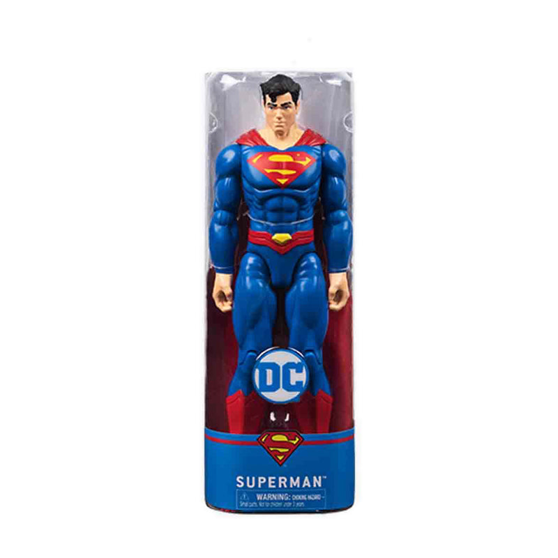 Spin Master DC 12 Basic Figure Assortment