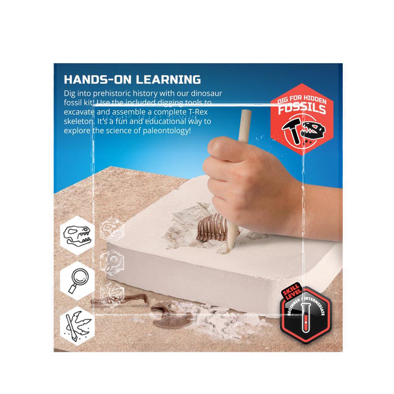 Discovery Mindblown Dinosaur Excavation Kit Skeleton 3D Puzzle - T-Rex - DCN1423004871
