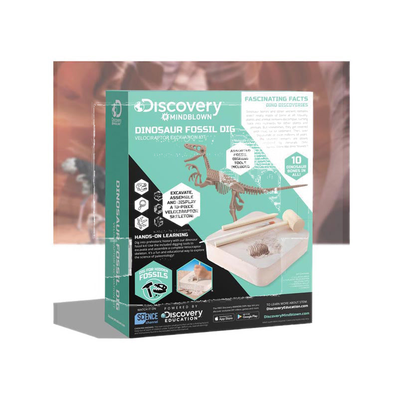 Discovery Mindblown Dinosaure Excavation Kit Skeleton - DCN1423004881