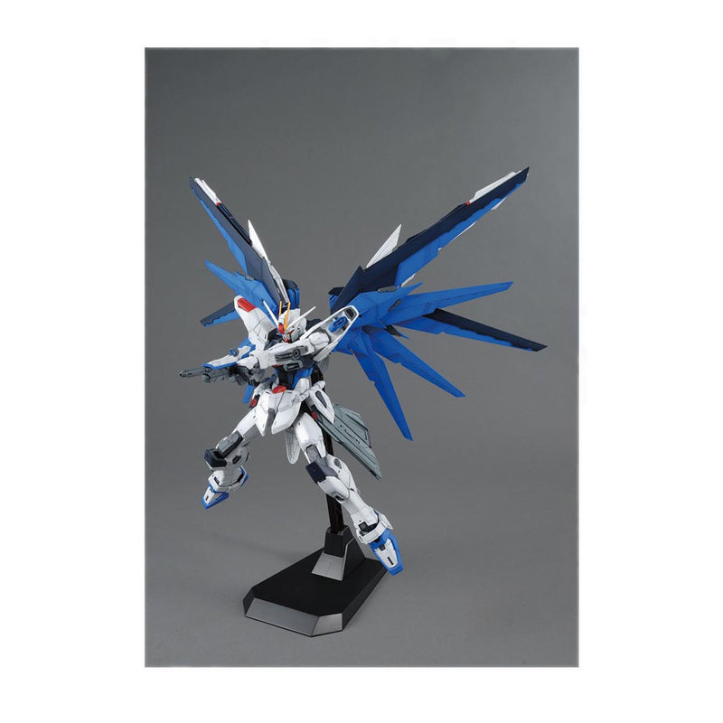 Gundam Mg 1/100 Freedom Gundam - GDM061611