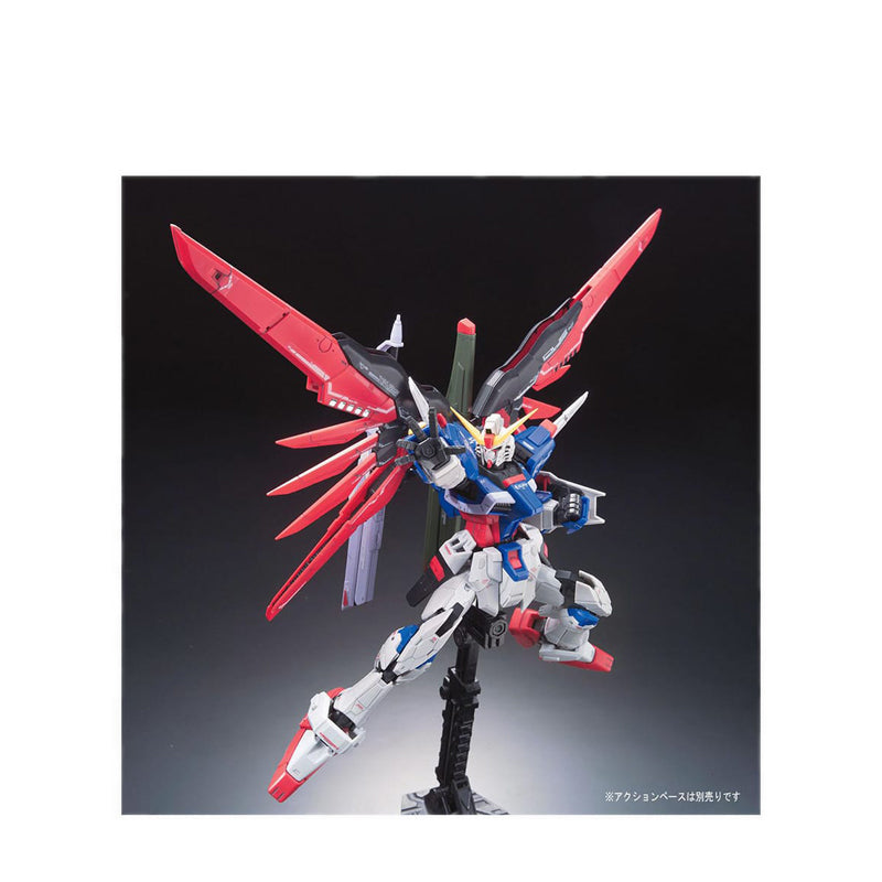 Gundam RG 1/144 DESTINY GUNDAM - GDM061616