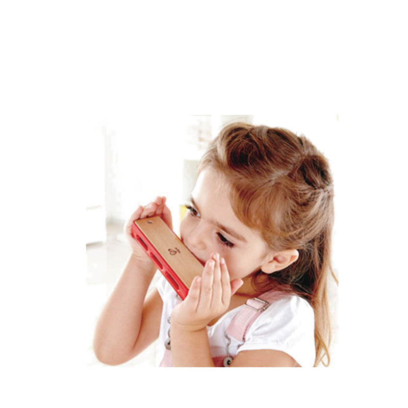 HAPE BLUES HARMONICA - HPAE0616