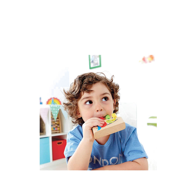 HAPE RAINBOW PAN PIPE - HPAE1025