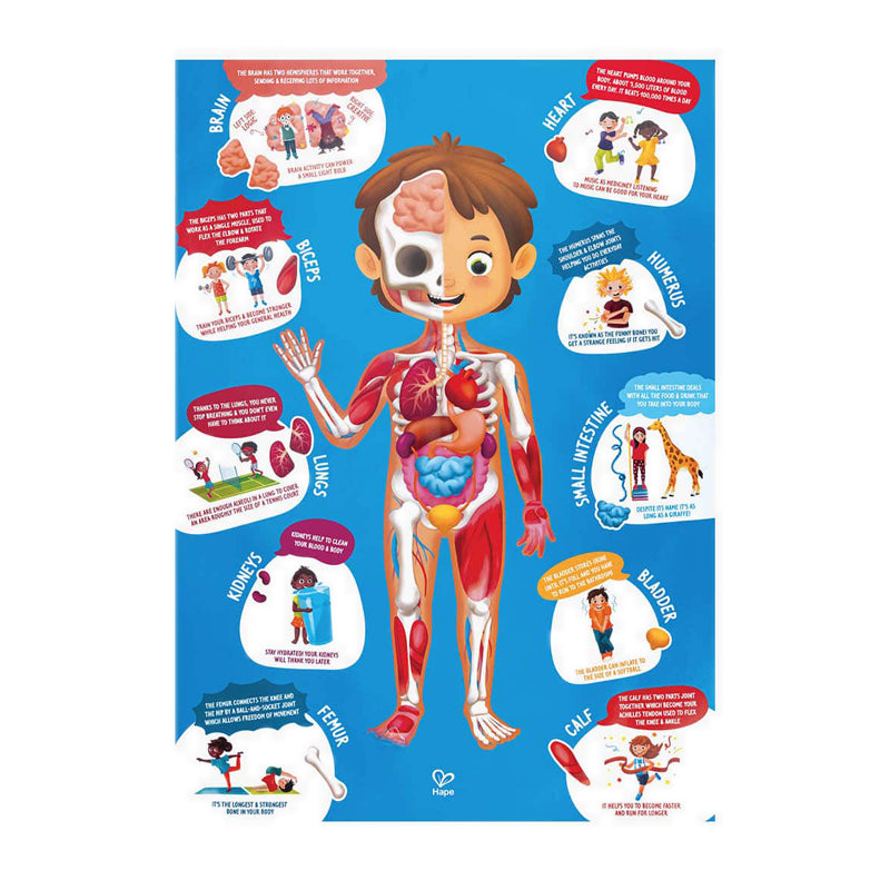 HAPE HUMAN BODY PUZZLE - HPAE1635