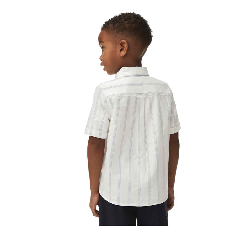 Marks & Spencer Pure Cotton Striped Shirt - MSP4904S-T88