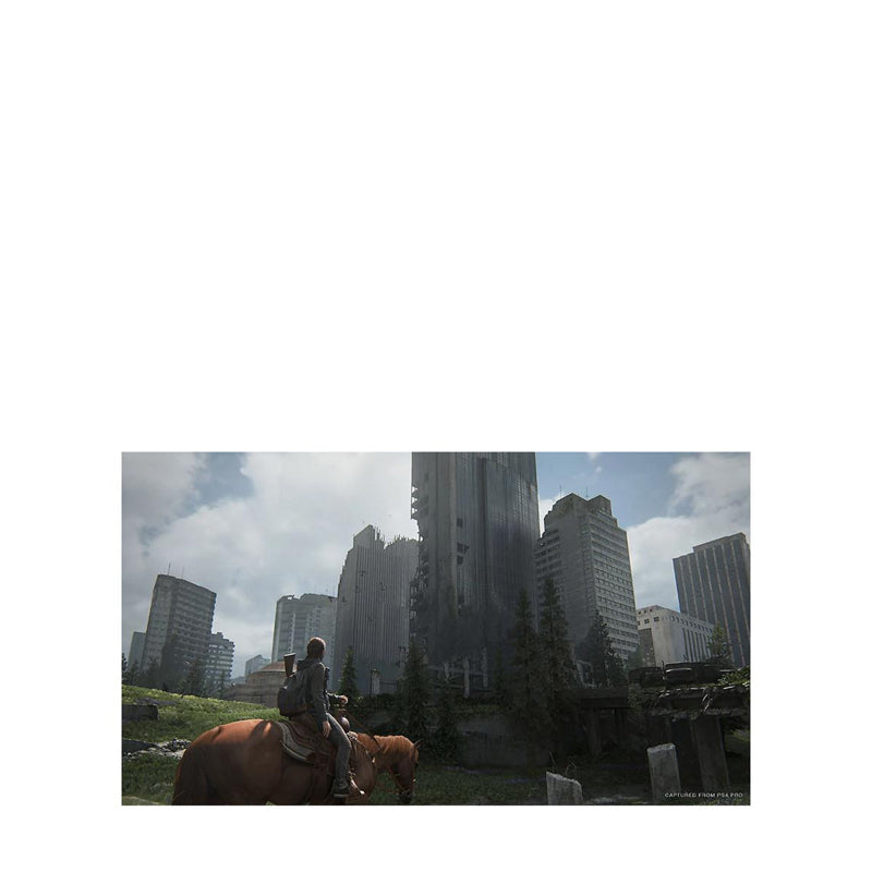 SONY PLAYSTATION - The Last of Us 2 STD Edition SYP05139E