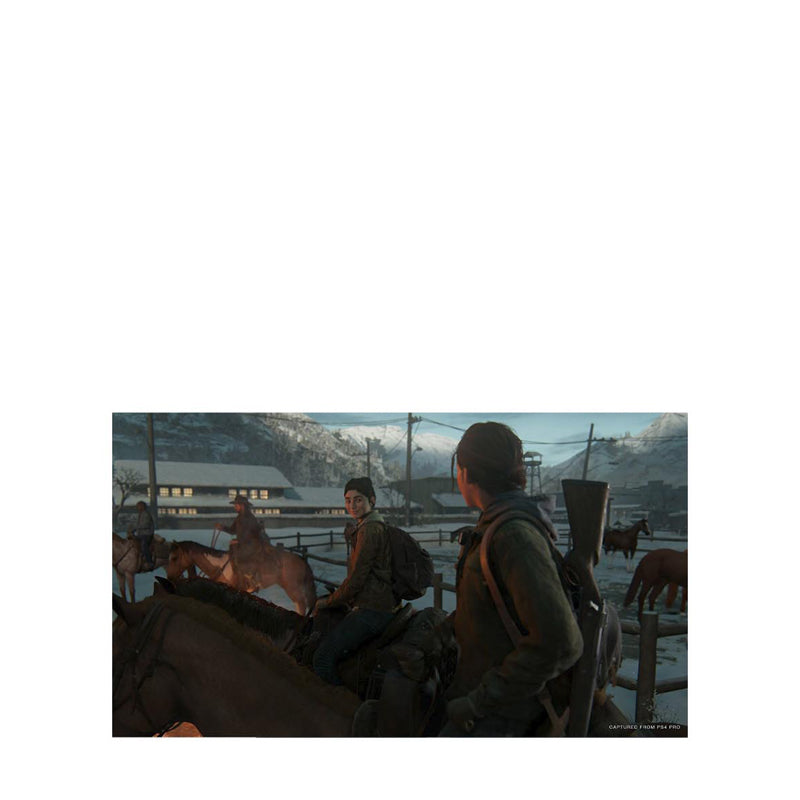 SONY PLAYSTATION - The Last of Us 2 STD Edition SYP05139E