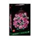 LEGO® Botanicals Bouquet of Pink Roses - 10374
