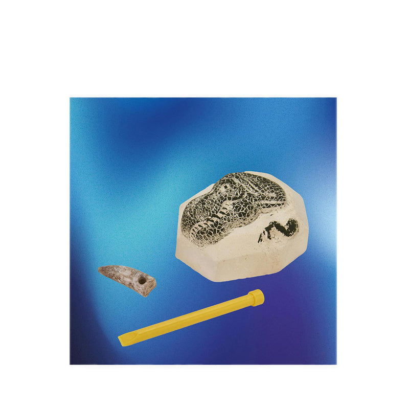 Discovery Toy Excavation Kit Mini Unearthed Dino Fossils 1Pc Mini Kit - DCN1301028720