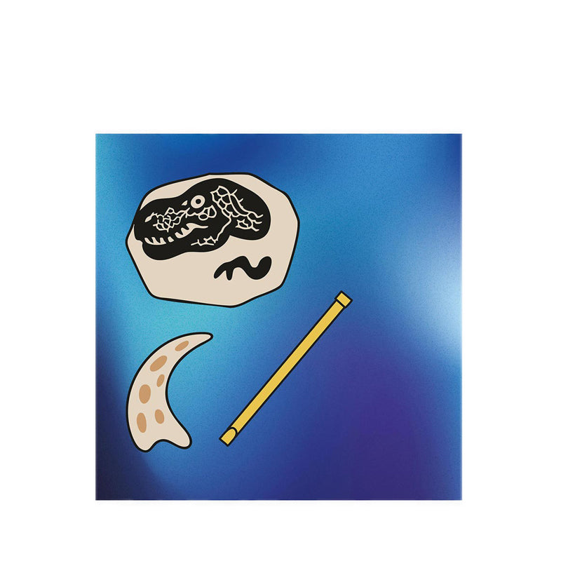 Discovery Toy Excavation Kit Mini Unearthed Dino Fossils 1Pc Mini Kit - DCN1301028720