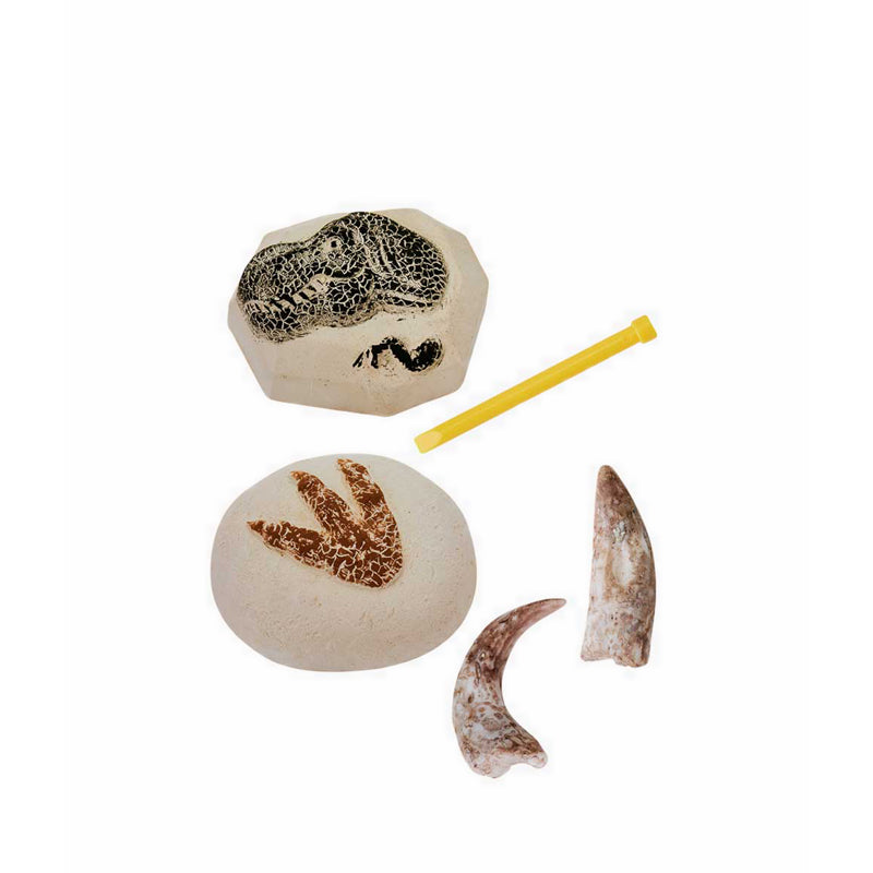 Discovery Mindblown Excavation Kit MiniDino Fossils - DCN1423021870