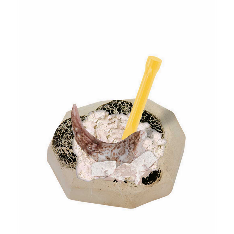 Discovery Mindblown Excavation Kit MiniDino Fossils - DCN1423021870