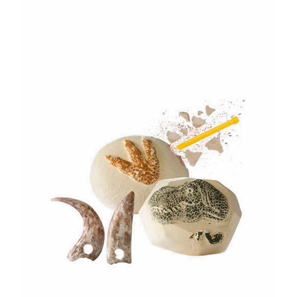 Discovery Mindblown Excavation Kit MiniDino Fossils - DCN1423021870