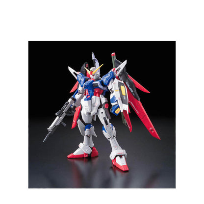 Gundam  RG 1/144 DESTINY GUNDAM - GDM061616
