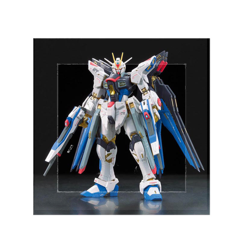 Gundam® RG 1/144 ZGMF-X20A Strike Freedom - 61617