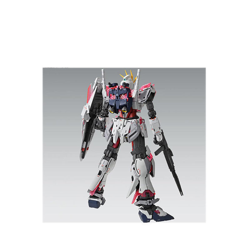Gdm24 Mg 1/100 Narrative Gundam C Packs - Gdm5066308