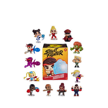 Street Fighter Mystery Warriors Blind Box - HENG4433