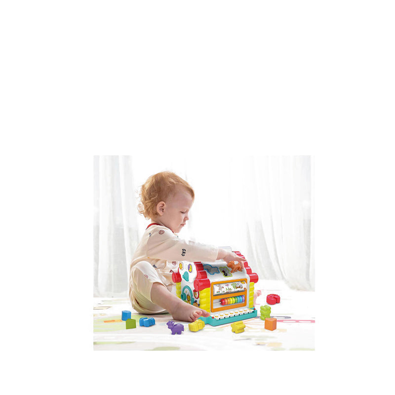 HOLA ACTIVITY HOUSE SHAPE SORTER - HOY739