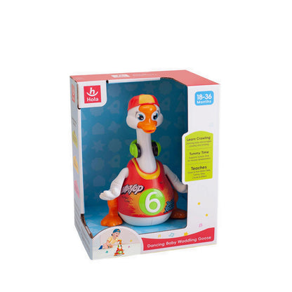 HOLA SWING GOOSE WITH LIGHT/MUSIC - HOY828