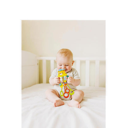 HOLA SHAKE AND PULL BUSY BALL - HOYHE7916