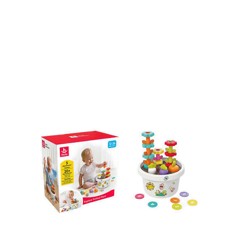 HOLA EXPLORE POTTED PLANT - HOYHE795800