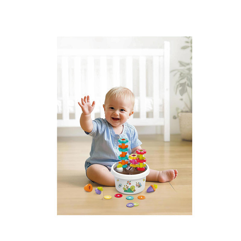 HOLA EXPLORE POTTED PLANT - HOYHE795800