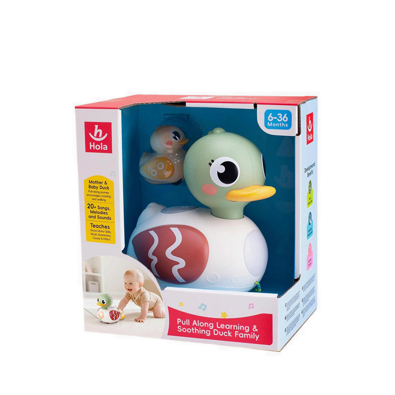 HOLA PULL ALONG LEARNING & SOOTHING DUCK FAMILY - HOYHE9976