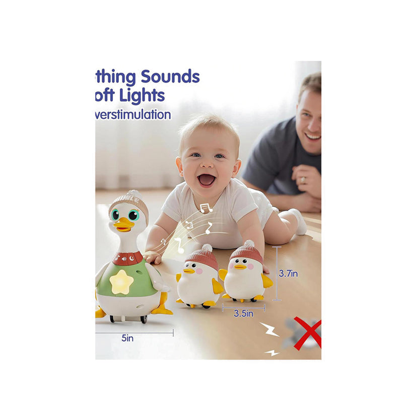 HOLA WADDLING DUCK FAMILY - HOYHE9987