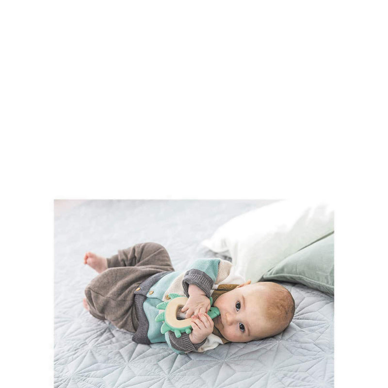 HAPE TEETHER HEDGEHOG - HPAE8508