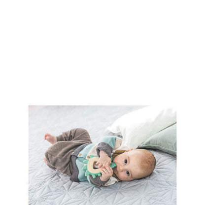 HAPE TEETHER HEDGEHOG - HPAE8508