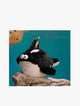 Loga Cute Black Orca - 0888-LL6B9101
