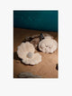 Loga Shuny Seashell - 0888-LL6B9113