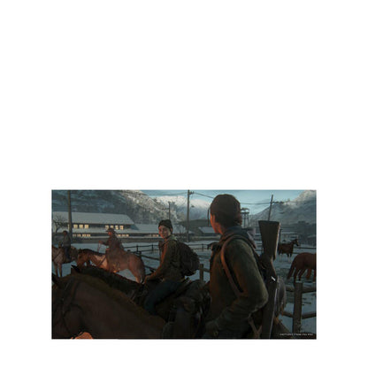 SONY PLAYSTATION - The Last of Us 2 STD Edition SYP05139E