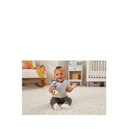 VTECH RATTLING RAIN STICK ZEBRA (VTUS) - VTE80-567200