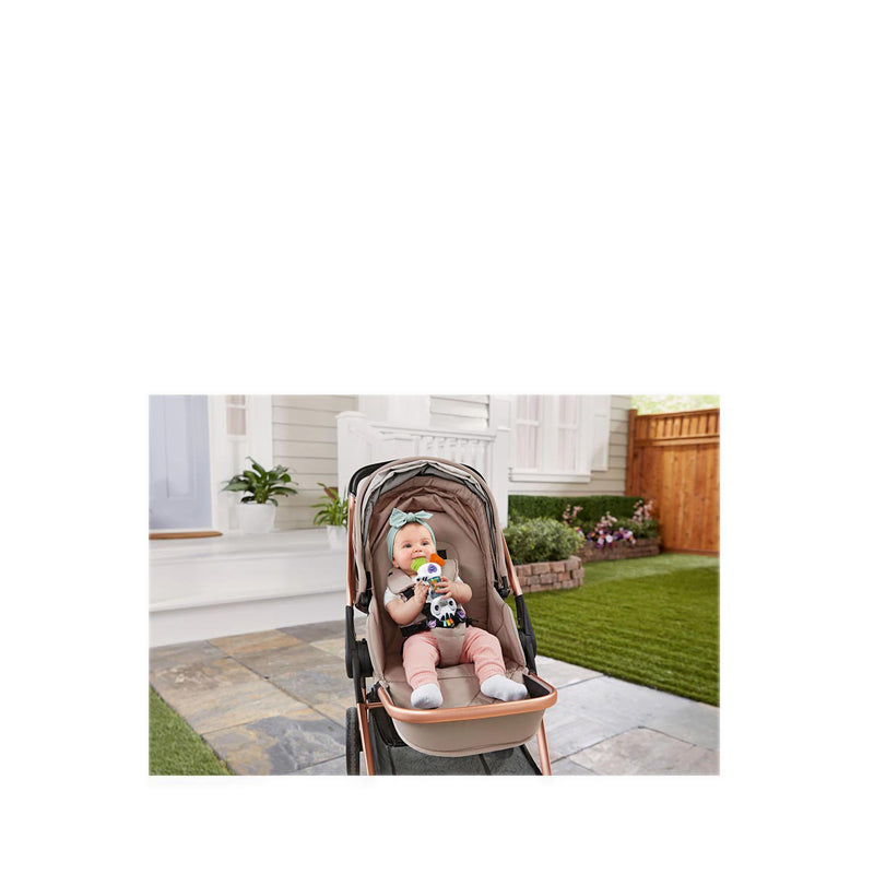 VTECH RATTLING RAIN STICK ZEBRA (VTUS) - VTE80-567200